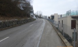 Bächerstrasse, 8832 Wollerau