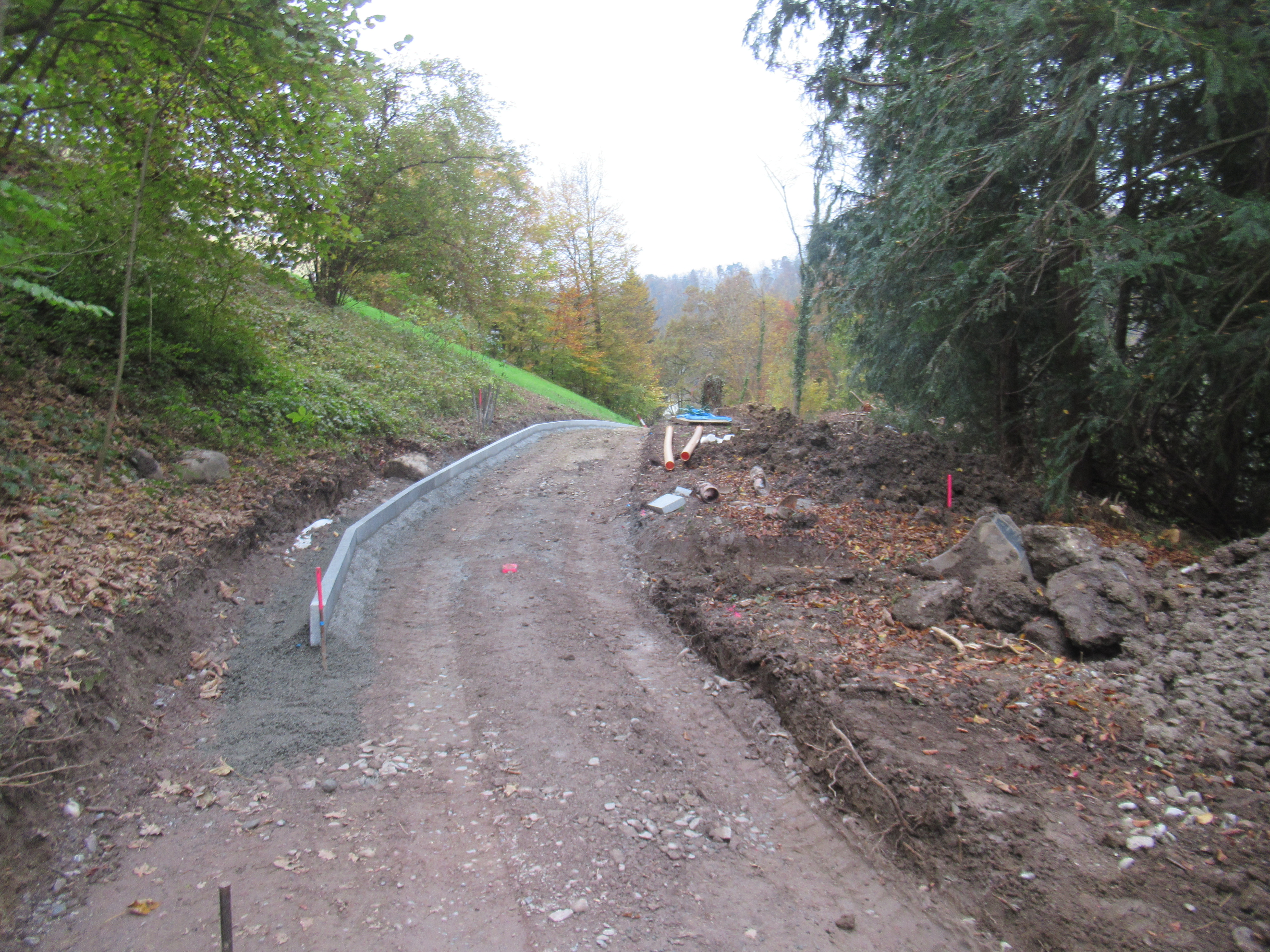 Züsackweg, 8800 Thalwil