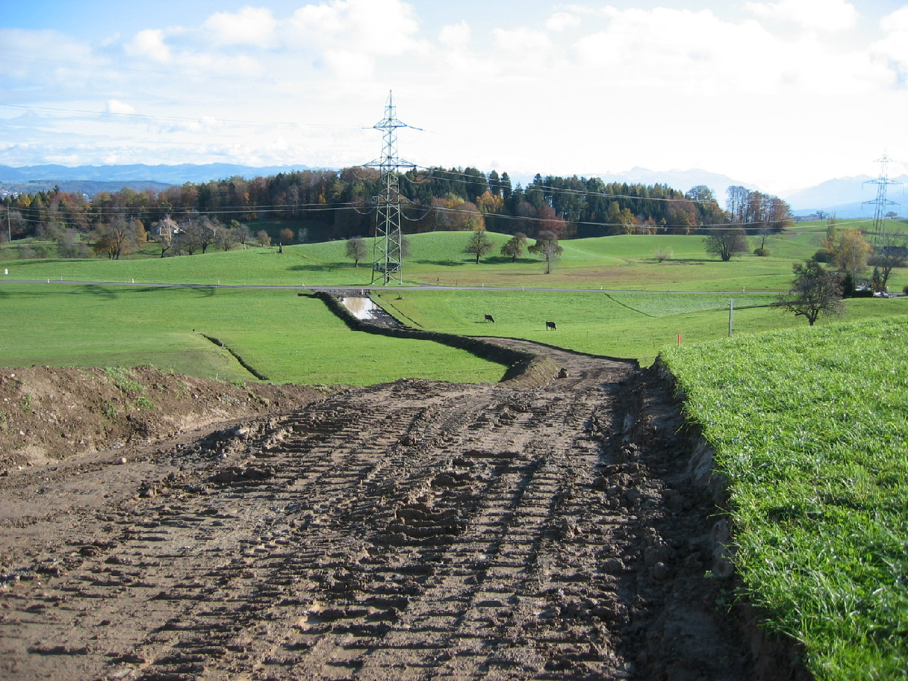 Wasserleitung Chapf, 8810 Horgen