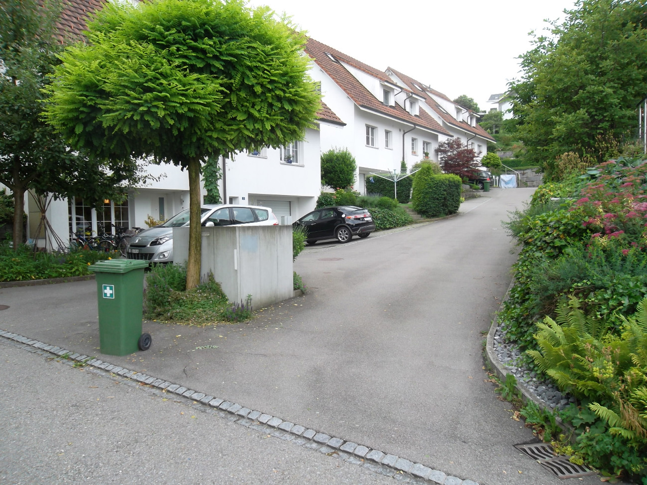 Kanalisation Fuhrstrasse und Unterort, 8820 Wädenswil